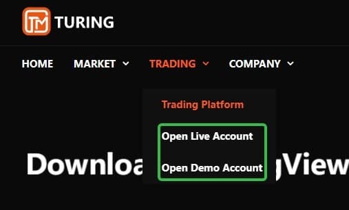 Turingfx Account Types