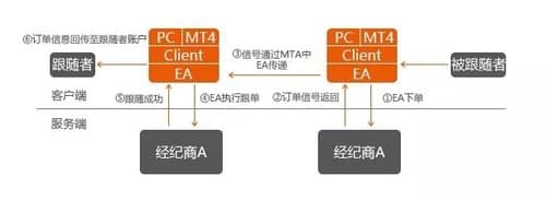 跟单