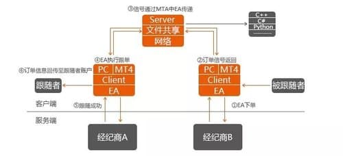 跟单3