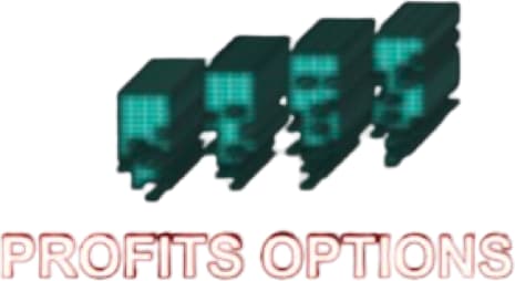 PROFITS OPTIONS