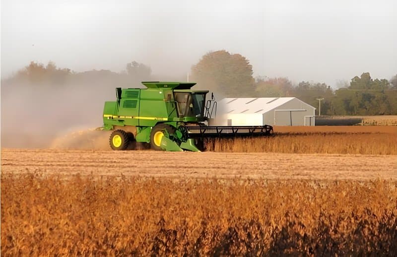 2025.4.15 Grains