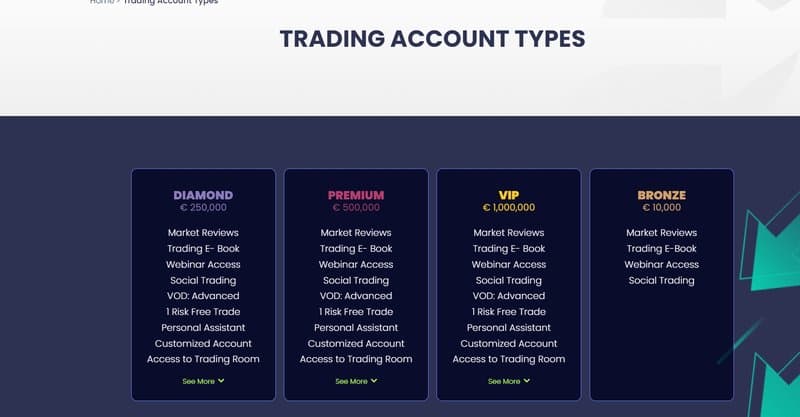 Mestieriplaza's Account Types