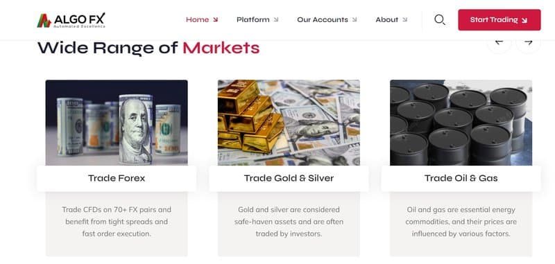 AlgoFX's Trading Products: