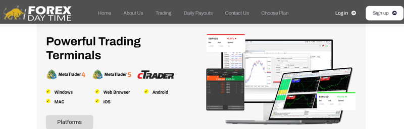 Forex Day Time