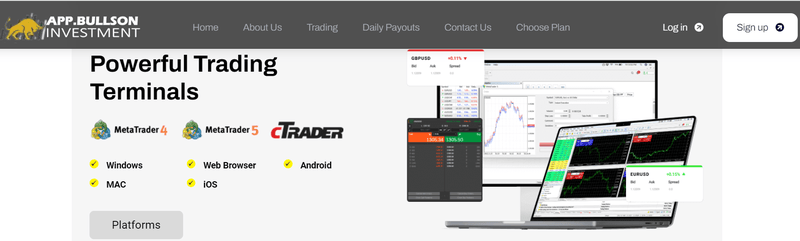 APP.Bullson Investment