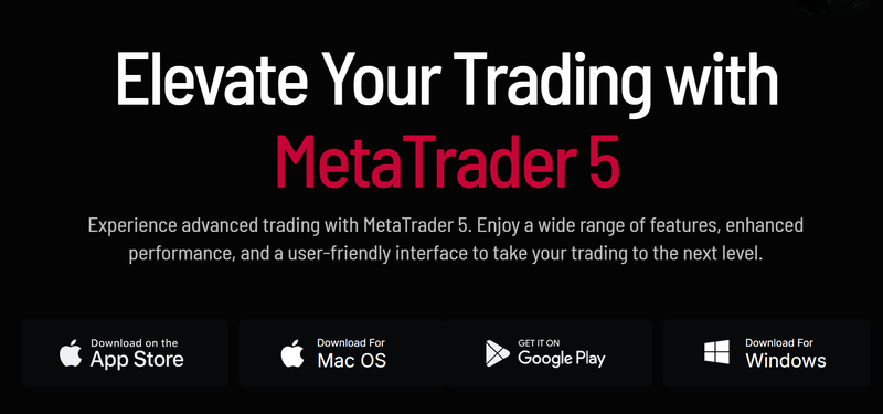 MT5