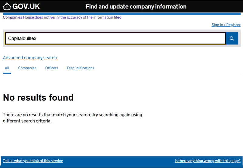 Companies House Query Result