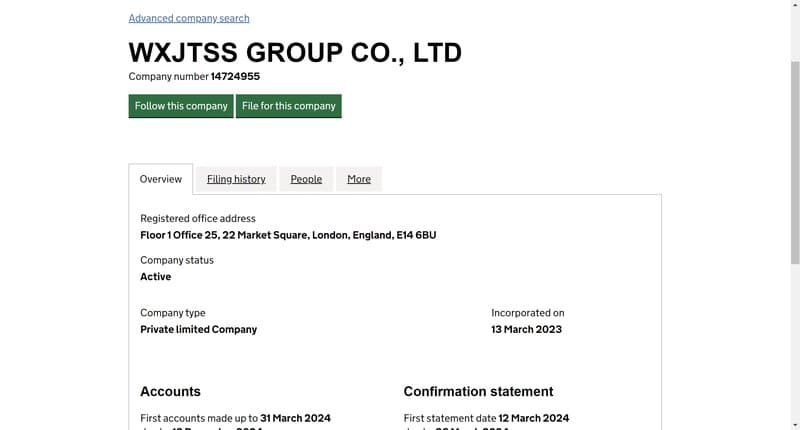 WXJTSS Group UK Company House截图