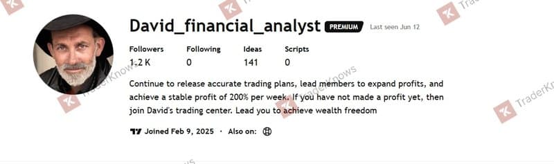 หน้าโปรไฟล์ TradingView ของ David Analyst