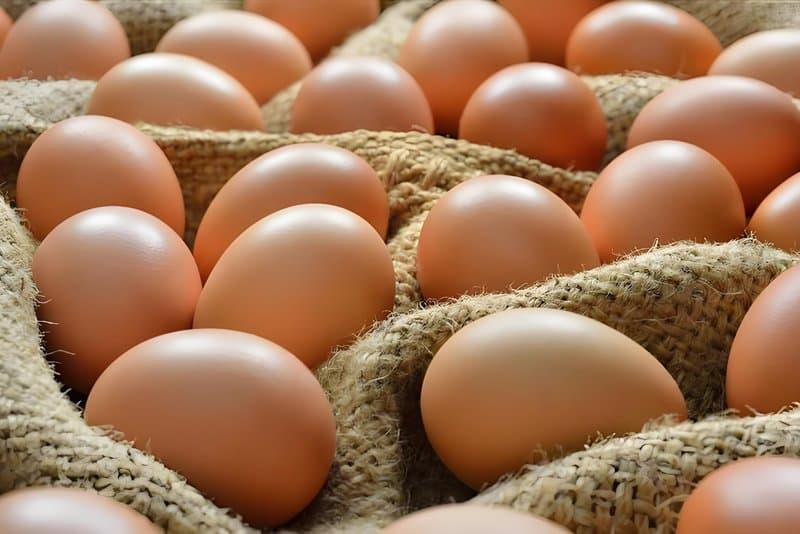 2025.4.11 Egg Prices