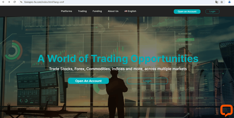 FOREX Website Design