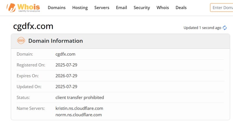 Website Domain Information