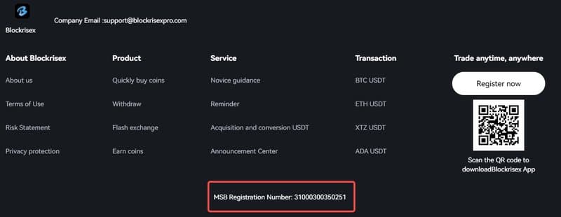 Информация внизу страницы сайта Blockrisex