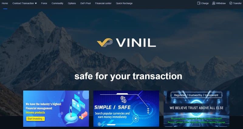 This broker's website design is very similar to VINIL's