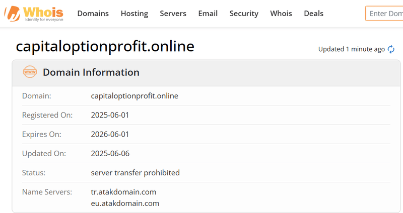 Whois Query Result
