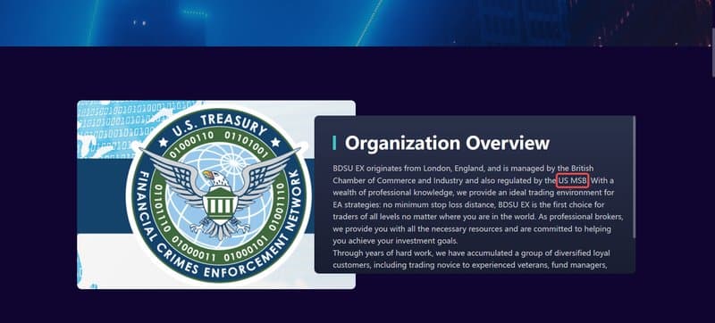 BDSU EX's corporate profile