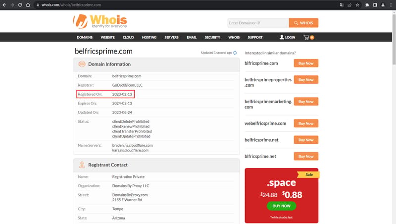 도메인 Whois 조회