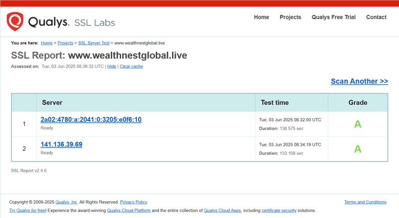 Результат запроса Qualys
