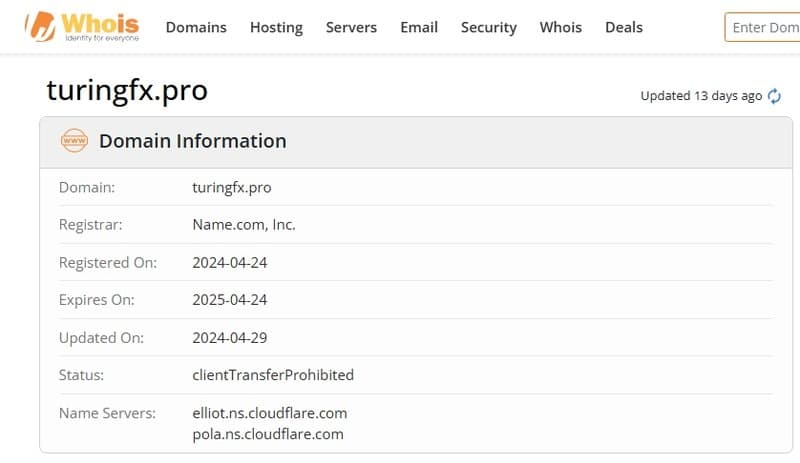 According to whois information, Turing's official website was registered on April 24, 2024