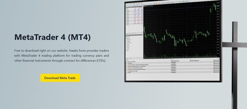 MT4