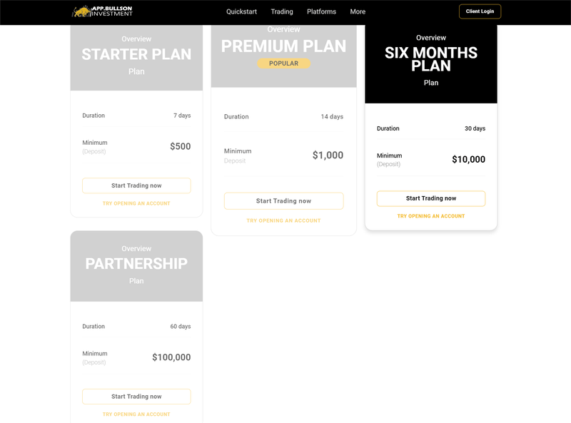 APP.Bullson Investment