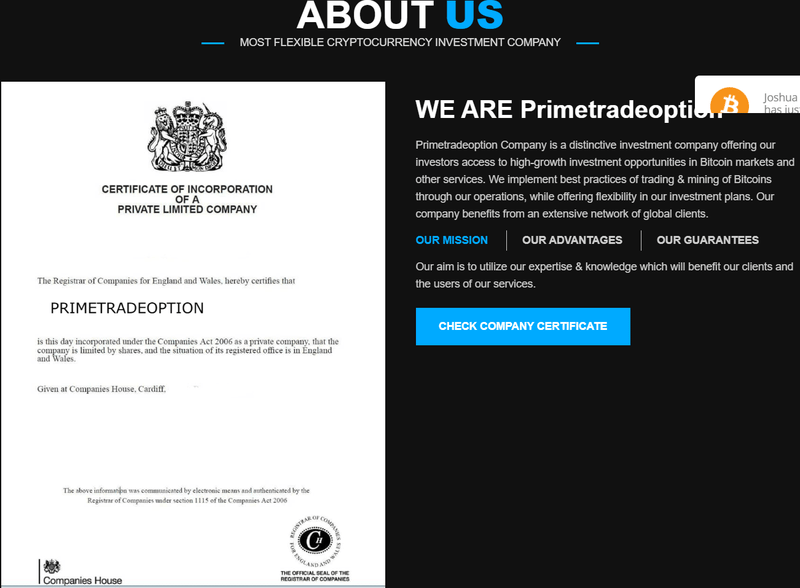 Primetradeoption