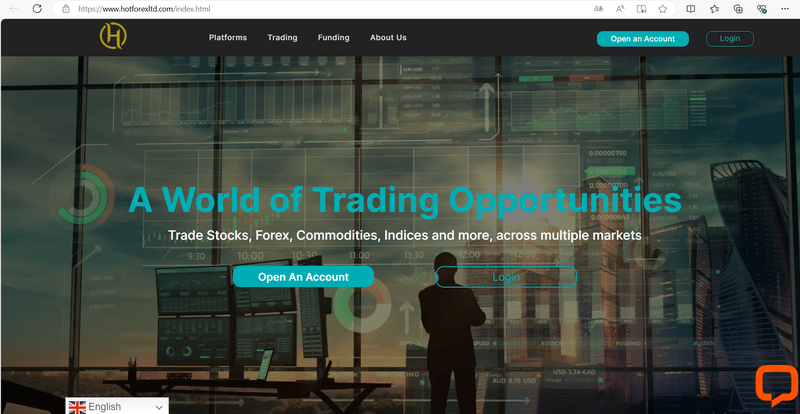Similar FOREX Website Design