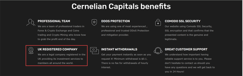 carnelian-capitals.live