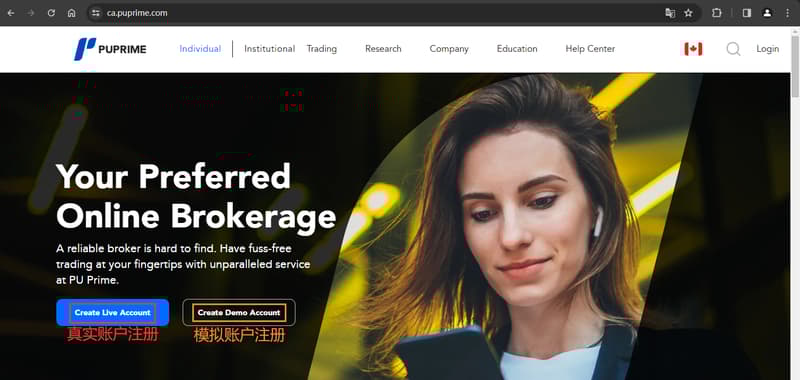 官网显示账户注册信息1