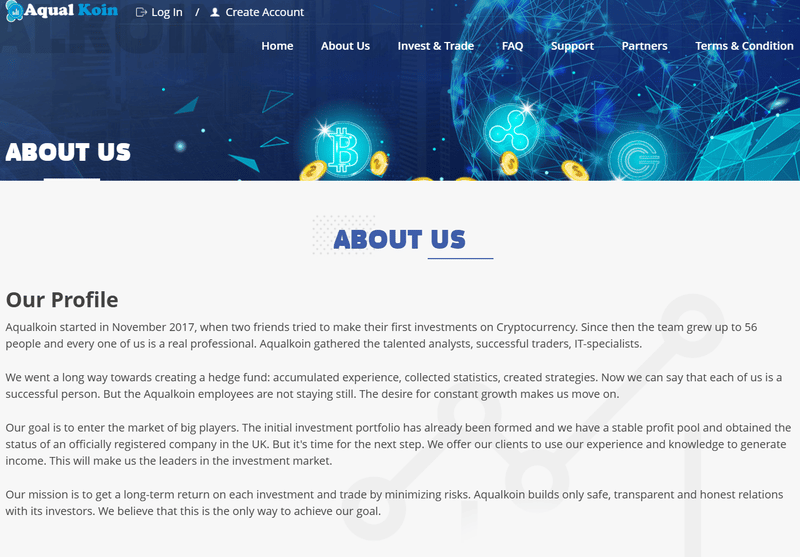 Фон компании и регистрационная информация