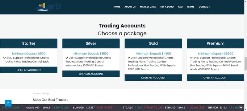 Standard Fx Trade Zone Account Types