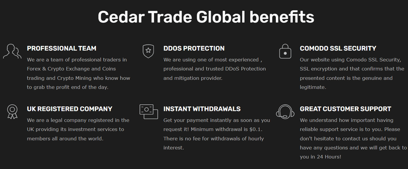 Cedar Trade Global