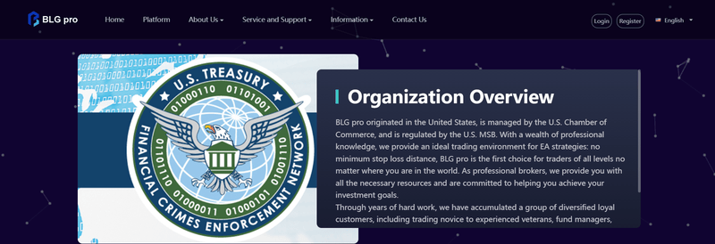 Company background