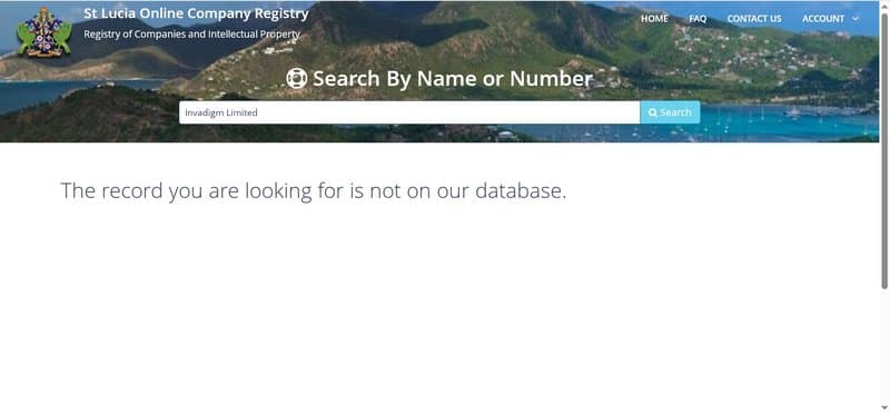 Company Search