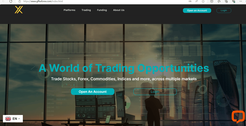 Similar FOREX Website Design 2