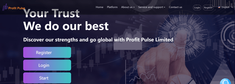 Profit Pulse Limited