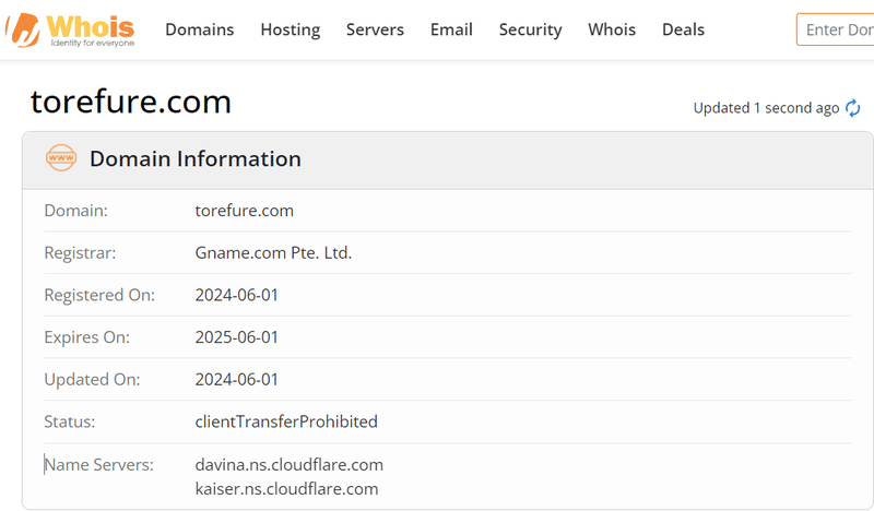 TOREFURE LTD domin register time