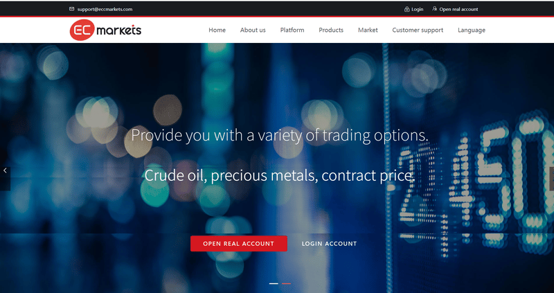 Official Website Homepage