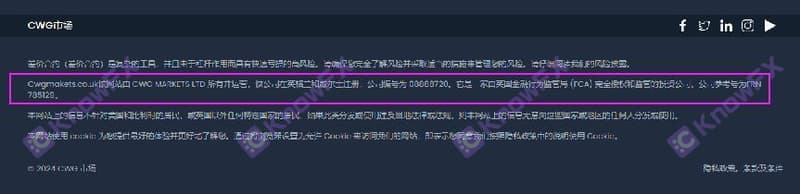图片7