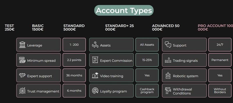 Account Types of Interactive Capital Corp