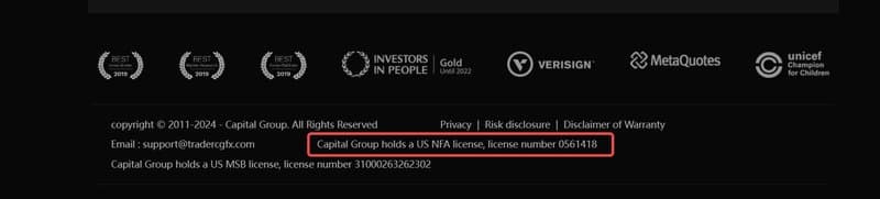 Company Background of tradercgfx