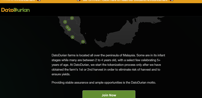 Market Distribution Introduction