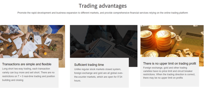 TC Global Capital