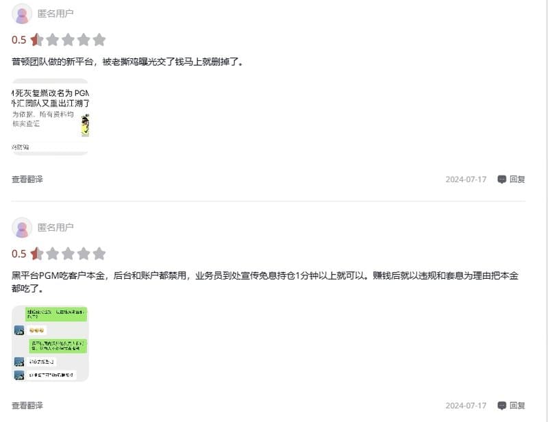 Comments about PGM on TraderKnows