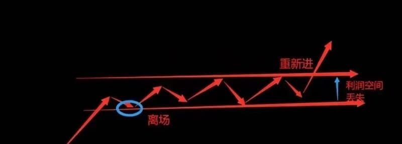 WeChat Image_20240625094717.jpg