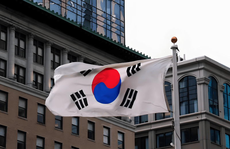 12.20 South Korean Flag