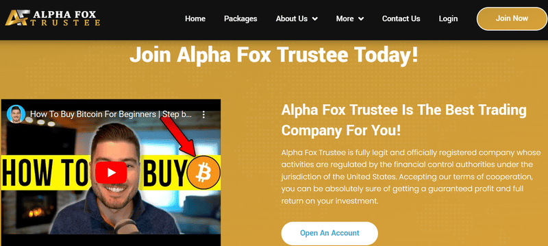 Alpha Fox Trustee