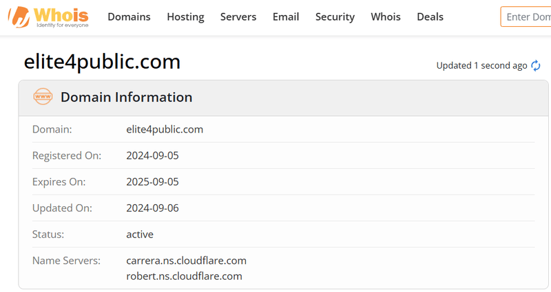Результат запроса Whois
