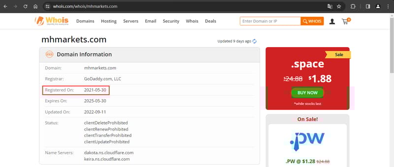 Whois query of domain registration information