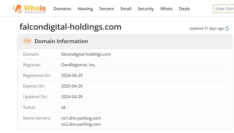 Falcon Digital Holdings domain registration time